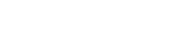 NVA Logo